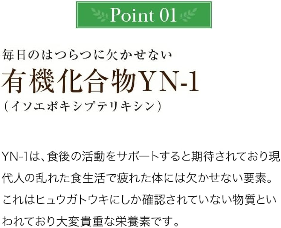 日本山人参 ヒュウガトウキ アマテラス 約30日分 サプリメント 国産 宮崎県 高千穂産 天然 100%( 120粒入り)｜horikku｜04