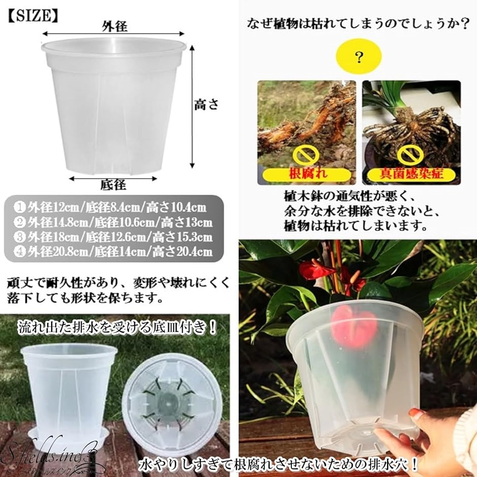 スリット鉢 透明 プラスチック 底皿付き 4個セット 観葉植物( 透明,  5号)｜horikku｜04