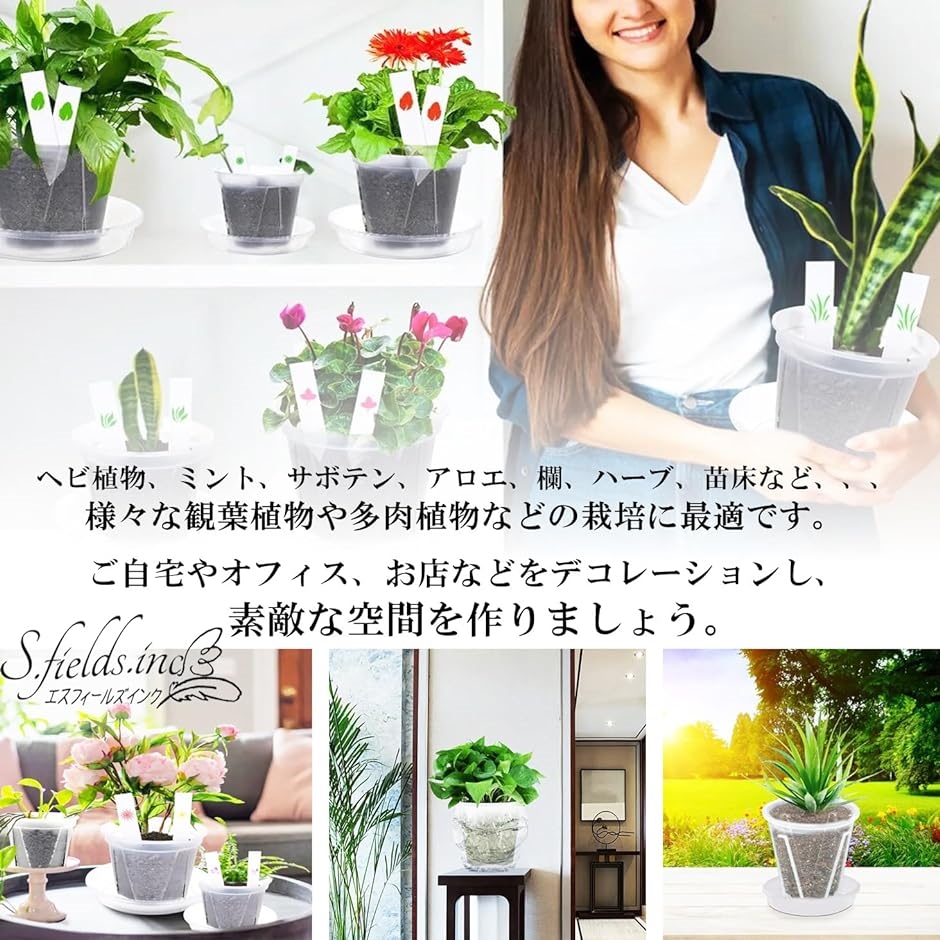 スリット鉢 透明 プラスチック 底皿付き 4個セット 観葉植物( 透明,  5号)｜horikku｜05