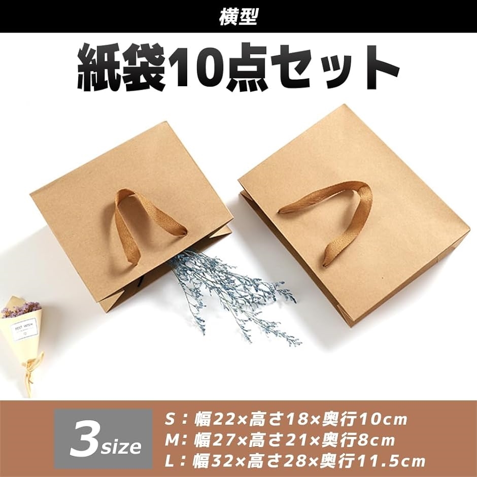 ギフトバッグ 紙袋 ラッピング 無地 手提げ シンプル 横型 10点セット