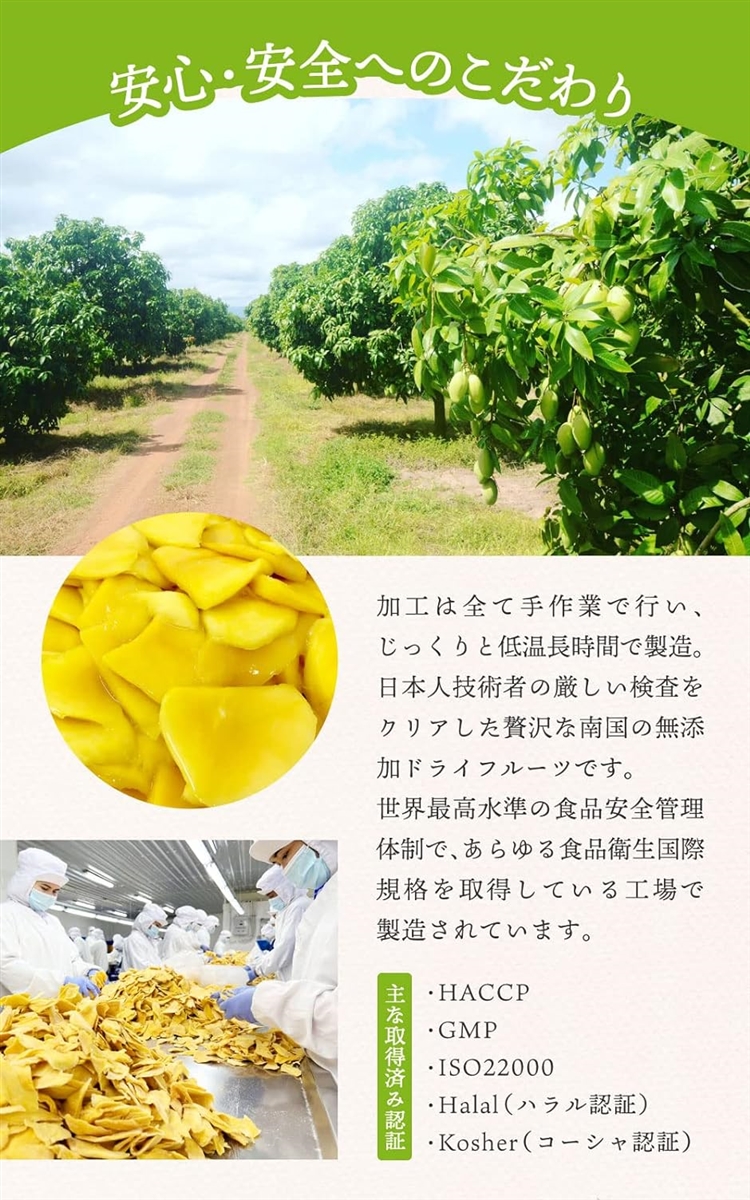 7種のナチュラル ドライフルーツ 砂糖不使用 ドライフルーツミックス マンゴー パイナップル バナナ グリーン( 195gx2袋)｜horikku｜04
