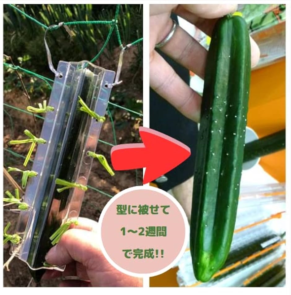 でこきゅう 星 きゅうり 星型 ハート きゅうりの型 卵焼き ハート型 ビニタイ12本付き | ブランド登録なし | 04