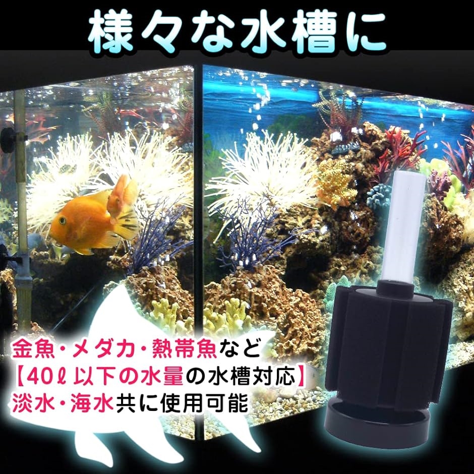 スポンジフィルター 水槽 濾過 フィルター めだか 金魚 観賞魚