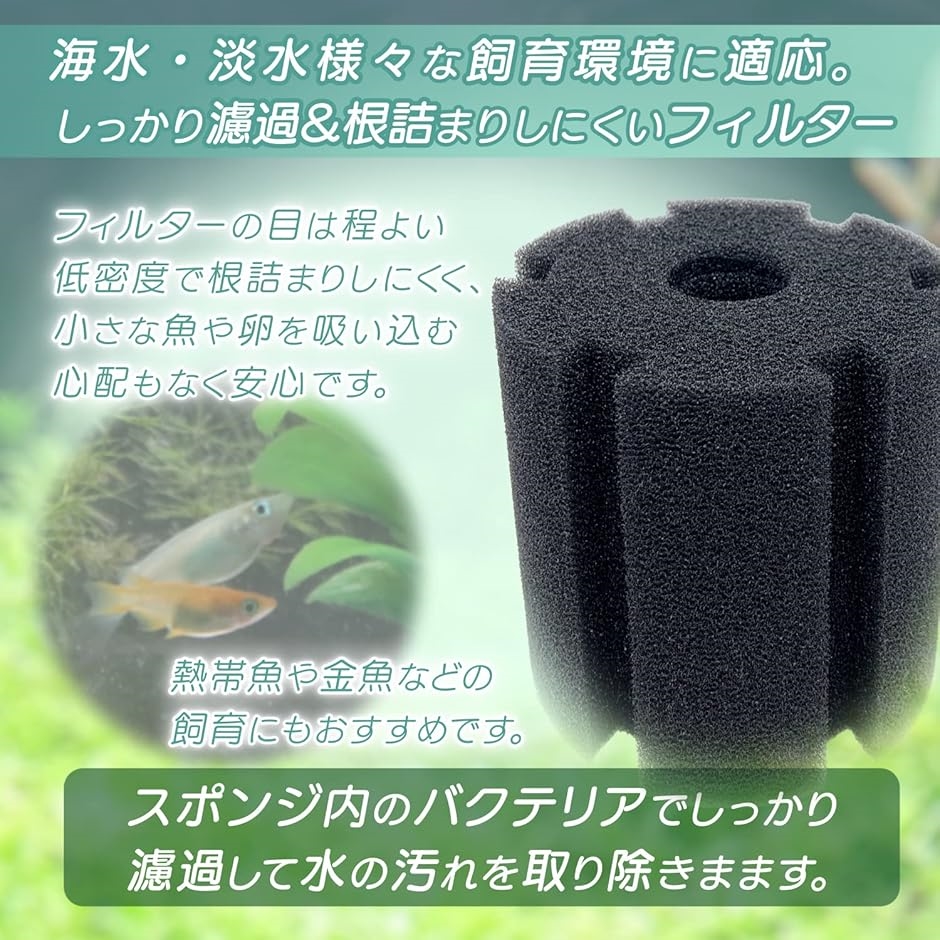 アクリル水槽 60センチ 4面ブラック スポンジフィルター付 アクリル水槽 60センチ 4面ブラック スポンジフィルター付