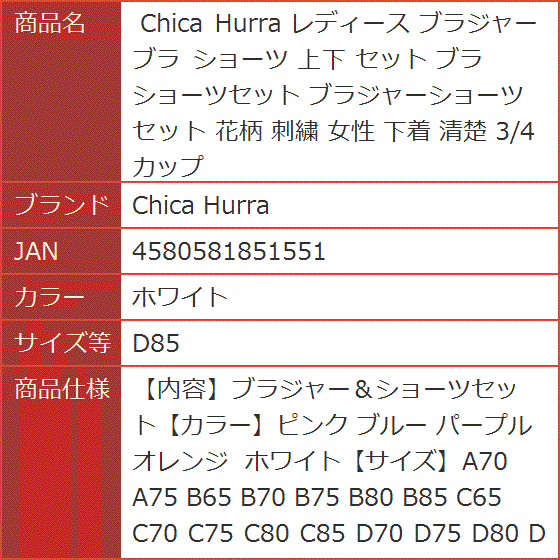 レディース ブラジャー ショーツ 上下 セット ブラショーツ