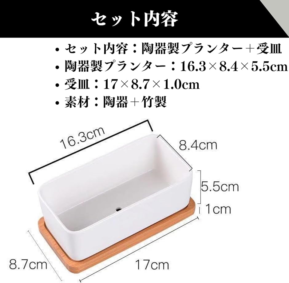 植木鉢 陶器 サボテン プランター容器 多肉植物用 陶器鉢 小型植物