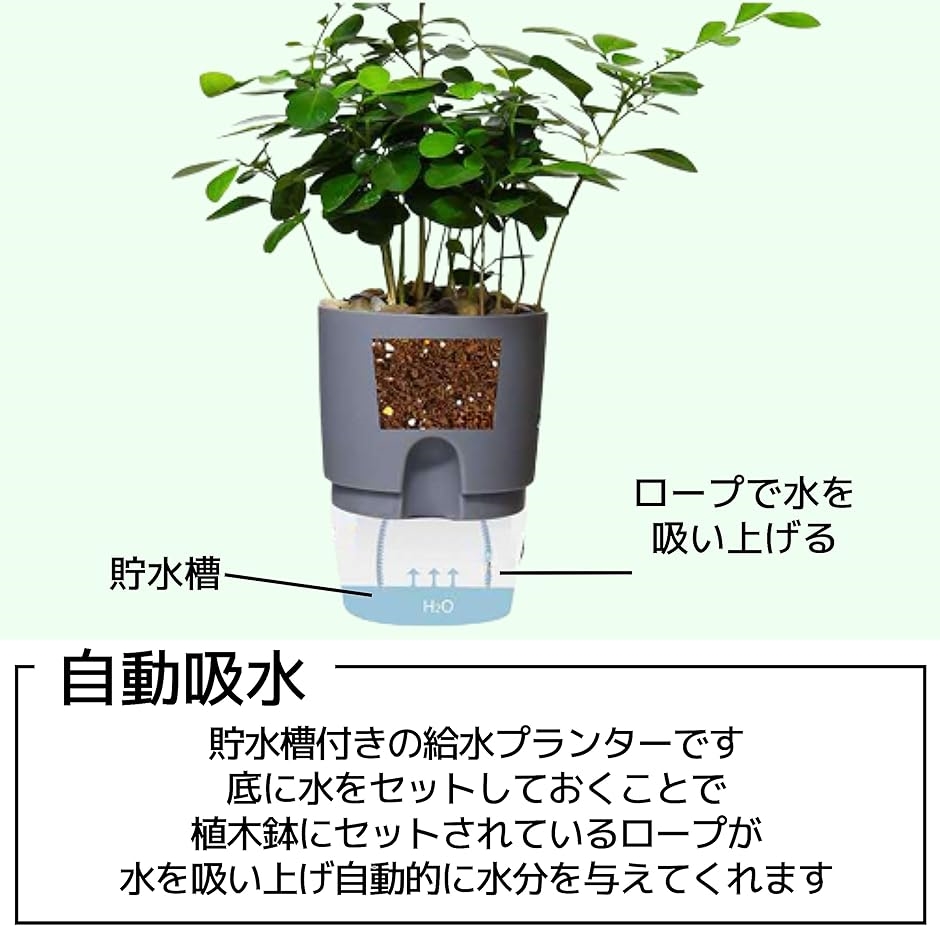 給水プランター 植木鉢 自動給水 貯水槽付 観葉植物 白 8.2cm 3個 セット プラスチック( ホワイト)