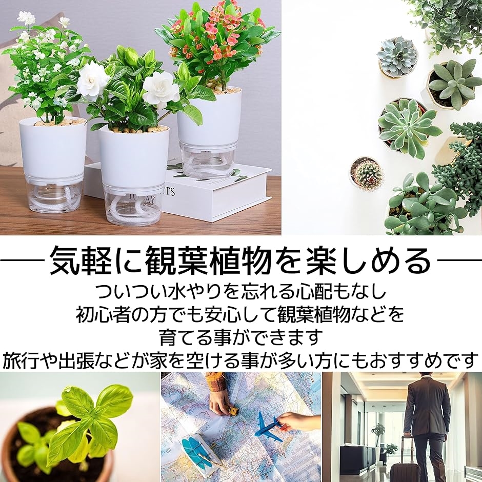 給水プランター 植木鉢 自動給水 貯水槽付 観葉植物 白 8.2cm 3個
