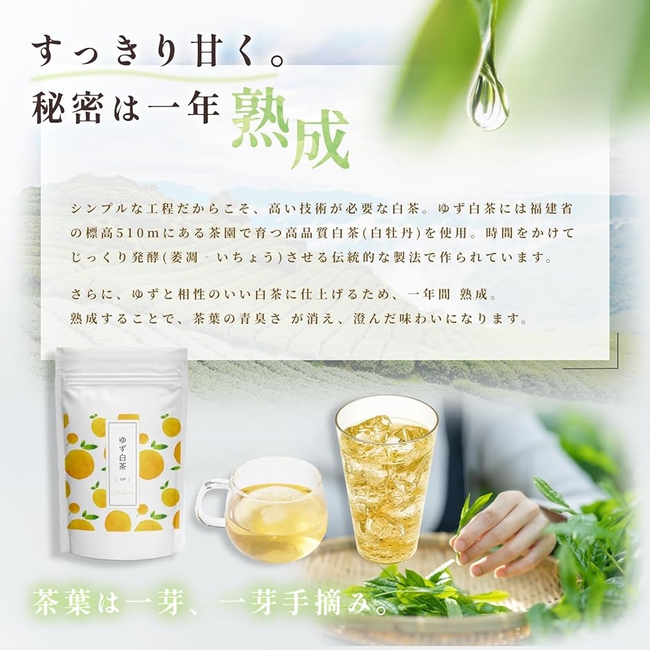 白茶 8年茶　大サイズ　美肌茶　福建省　ホワイトティー Amazon | 本場福建産 2025年白茶 ホワイトティー 福鼎白豪銀針