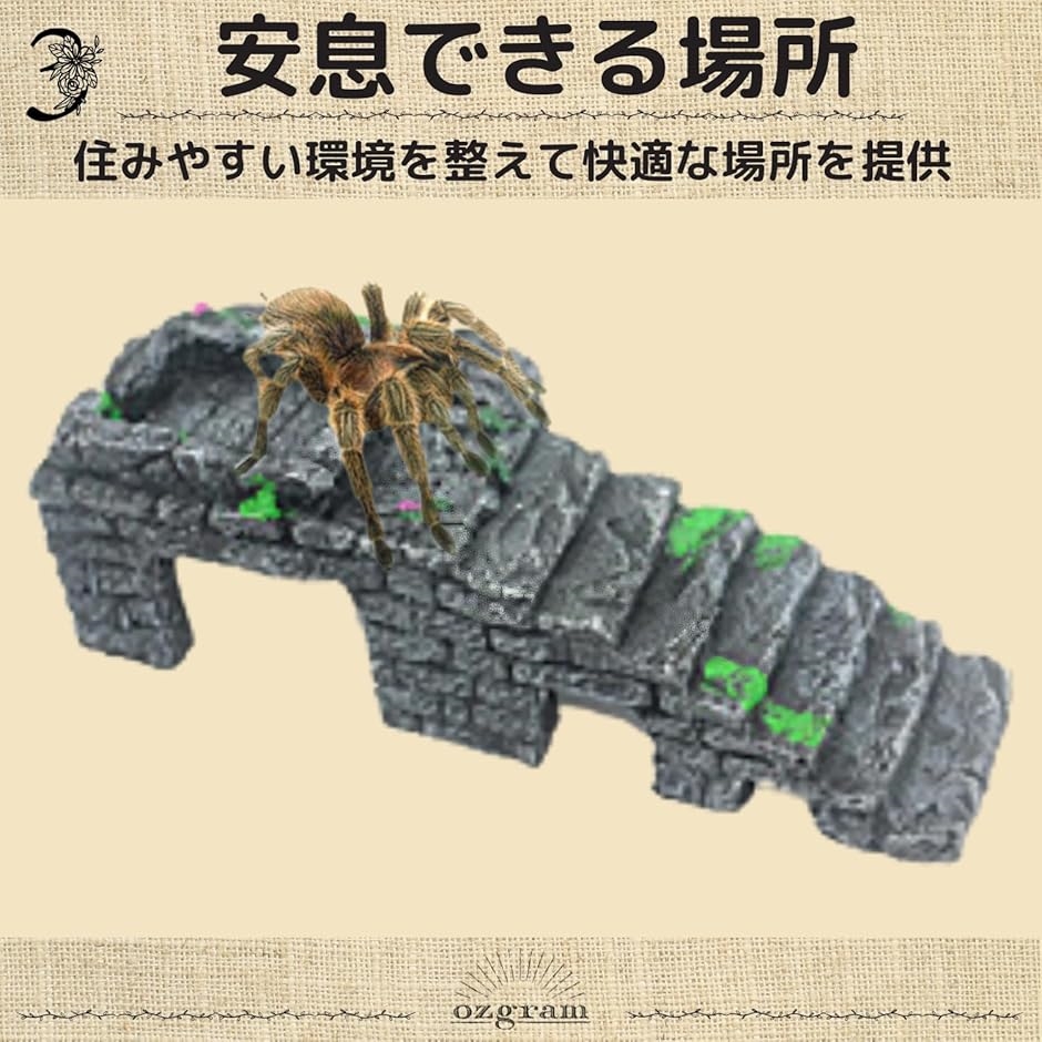 爬虫類 ケージ 90（飼育ケージ）｜温室、飼育ケース｜爬虫類、両生類