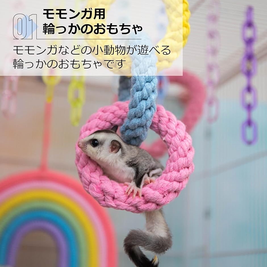 おもちゃ フクロモモンガ 遊び場 小動物 リング ペット用品 カラフル｜horikku｜03