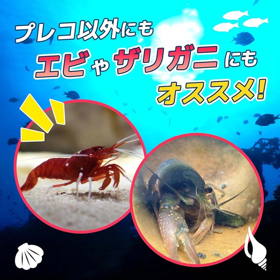 産卵 シェルター 筒 熱帯魚 アクアリウム 陶器 土管 洞窟 ザリガニ エビ プレコ 3個 セット( 3個セット)