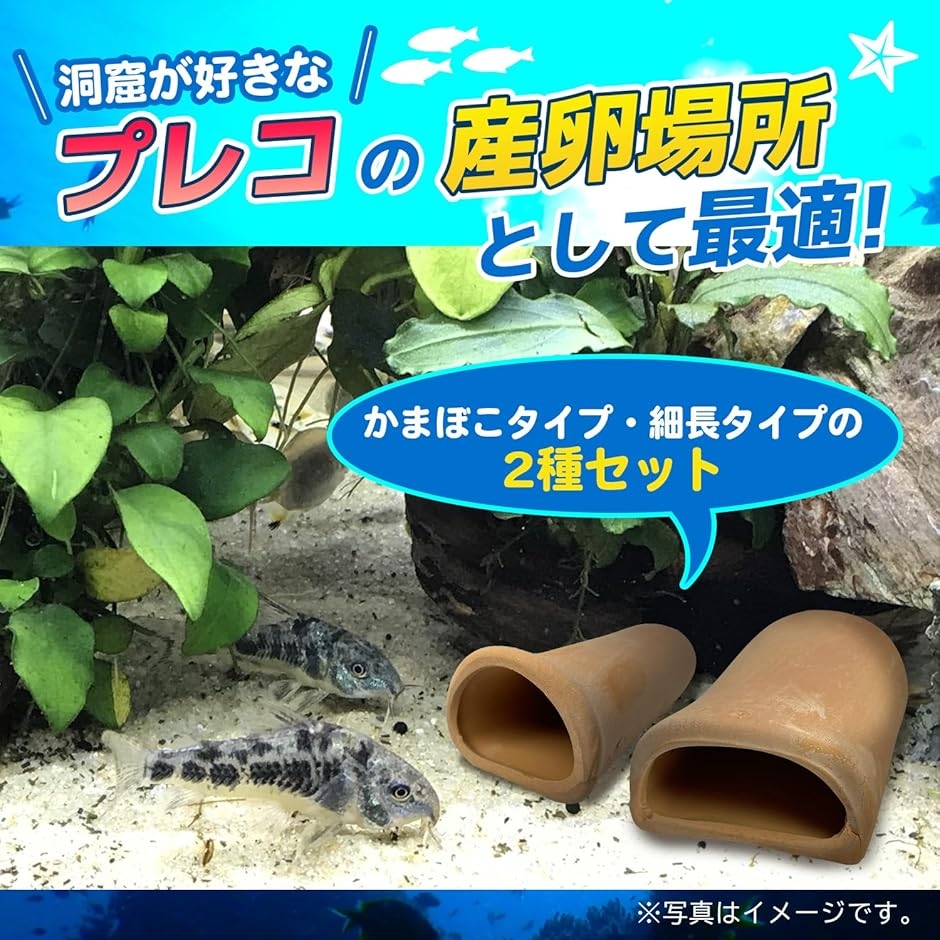 プレコシェルターのおすすめ人気商品一覧 通販 - Yahoo!ショッピング