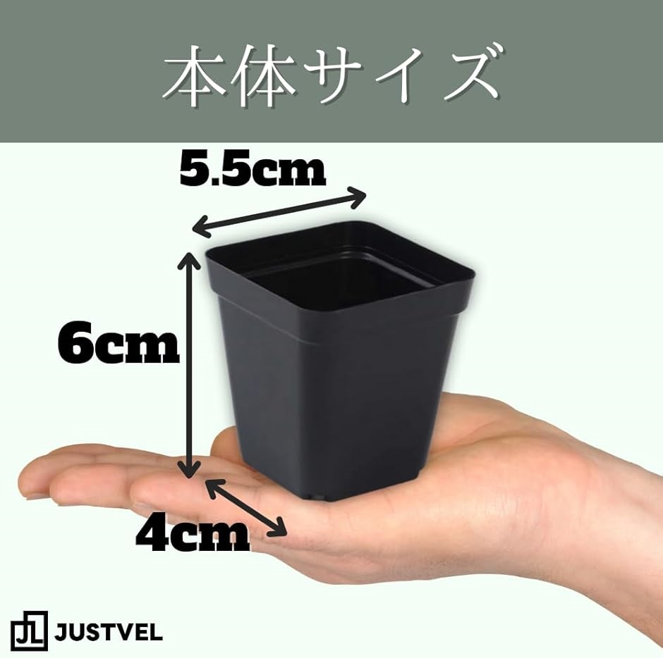 2024実生苗セットm 4センチポット Amazon.co.jp: プラ鉢 ミ二植木鉢 多肉植物 鉢 プラスチック