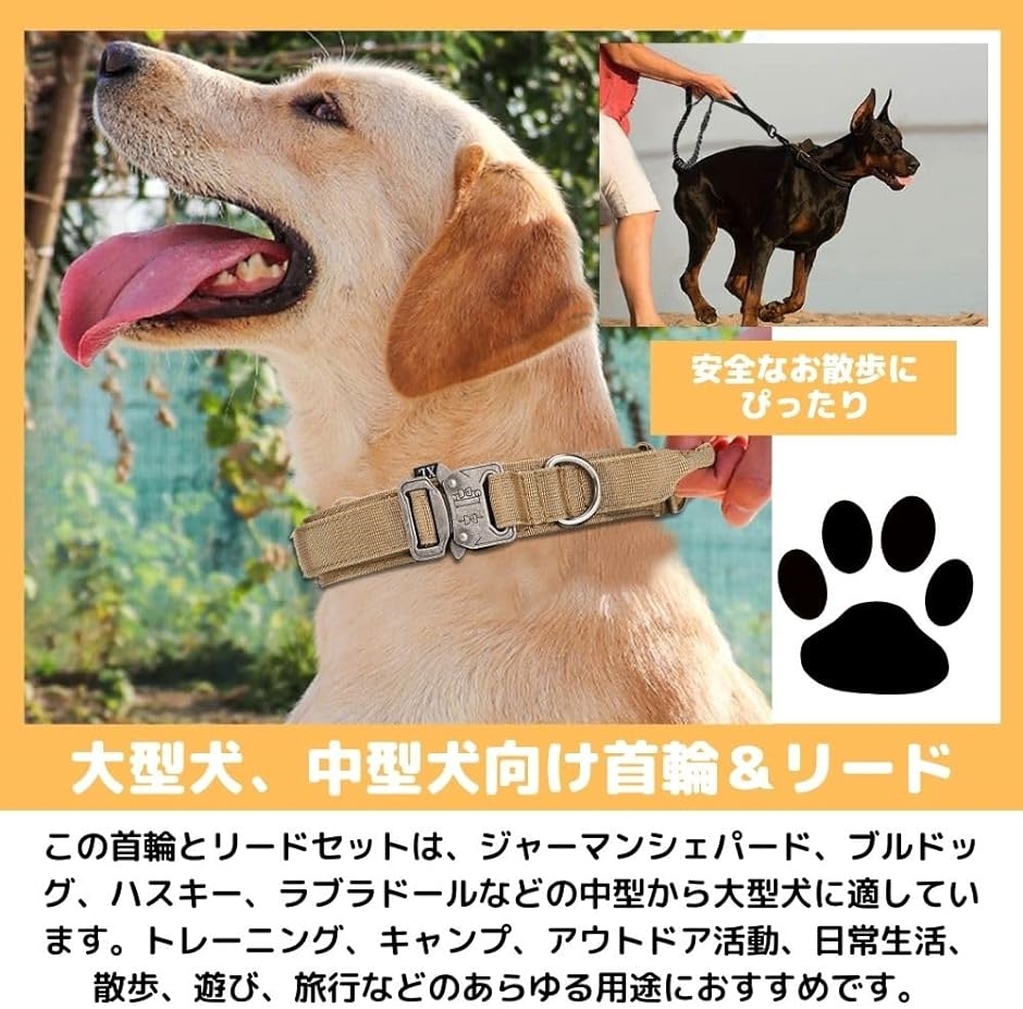 Truelove 防水首輪 リード セット 犬 ウォータープルーフ 犬用
