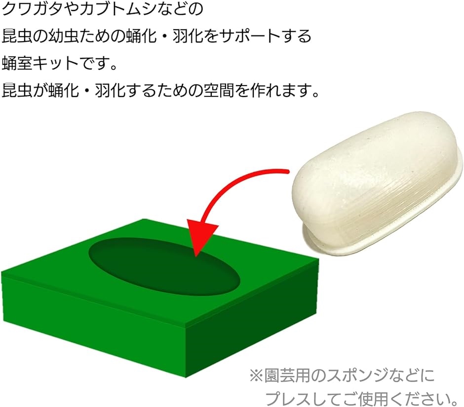 モデルノ ラ テール 人工蛹室 クワガタ カブトムシ さなぎ 羽化不全防止 蛹化 サポート 人工蛹室凸型 観察( 67mmx31mm)｜horikku｜03