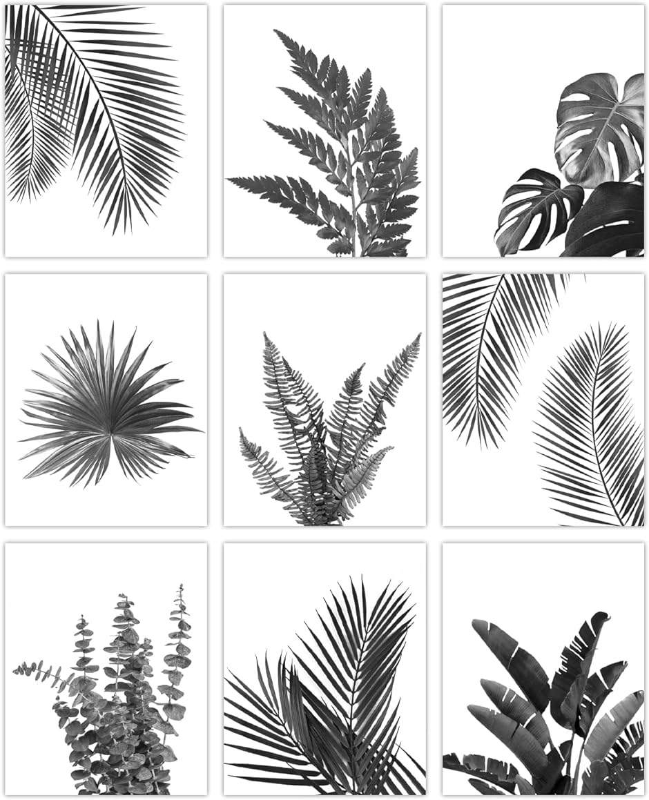 9枚セット 熱帯植物アートポスター 熱帯植物現代芸術ポスター 装飾画 ウォールアート 飾り絵 壁絵 ウォールデコレーション( 熱帯植物)｜horikku