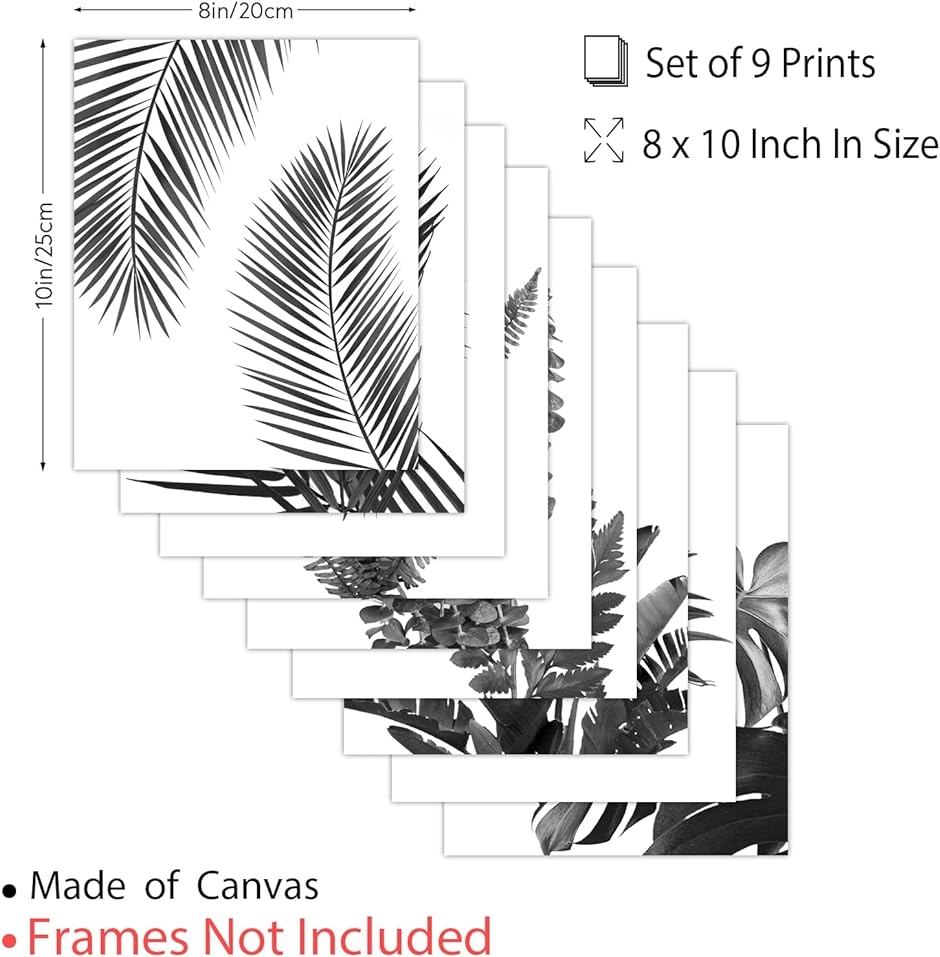 9枚セット 熱帯植物アートポスター 熱帯植物現代芸術ポスター 装飾画 ウォールアート 飾り絵 壁絵 ウォールデコレーション( 熱帯植物)｜horikku｜02