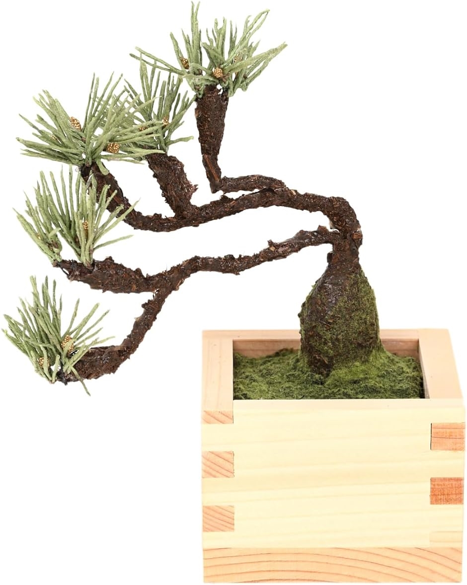 荗aƂЂ̂gp ~ bonsai lHϗtA  tFCNO[ a ap CeA 12cm 06. 