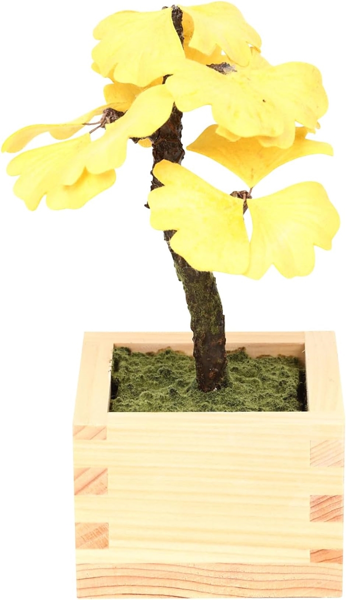 荗aƂЂ̂gp ~ bonsai lHϗtA  tFCNO[ a ap CeA 12cm 04. 