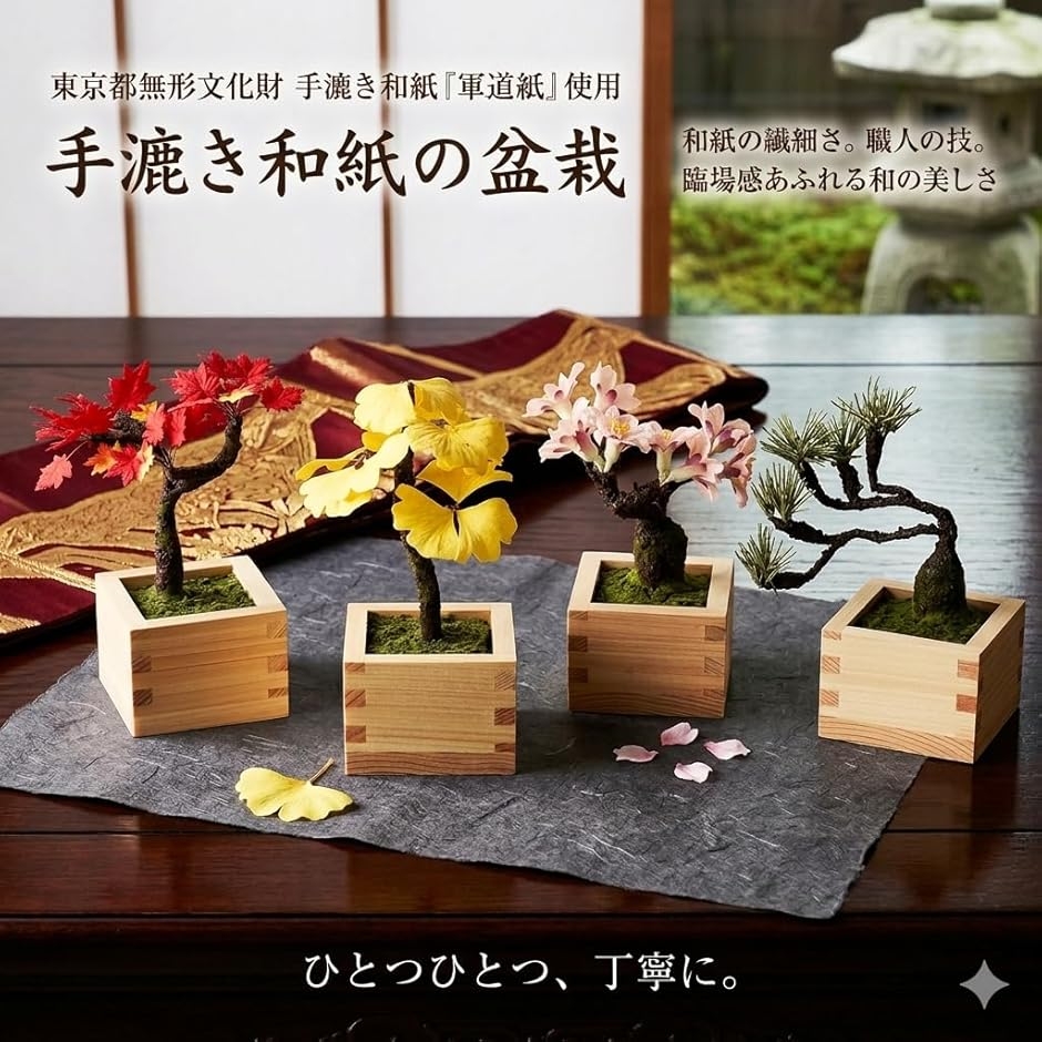 ヒノキ（観葉植物） | 花、ガーデニング のおすすめ人気商品一覧 通販