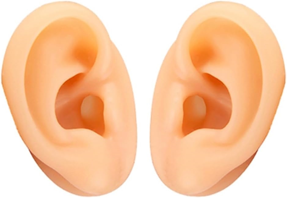 シリコン 耳 模型 両耳 左右セット 耳モデル 人工 ダミー 耳鍼 縫合 練習 みみ 絵画 美術