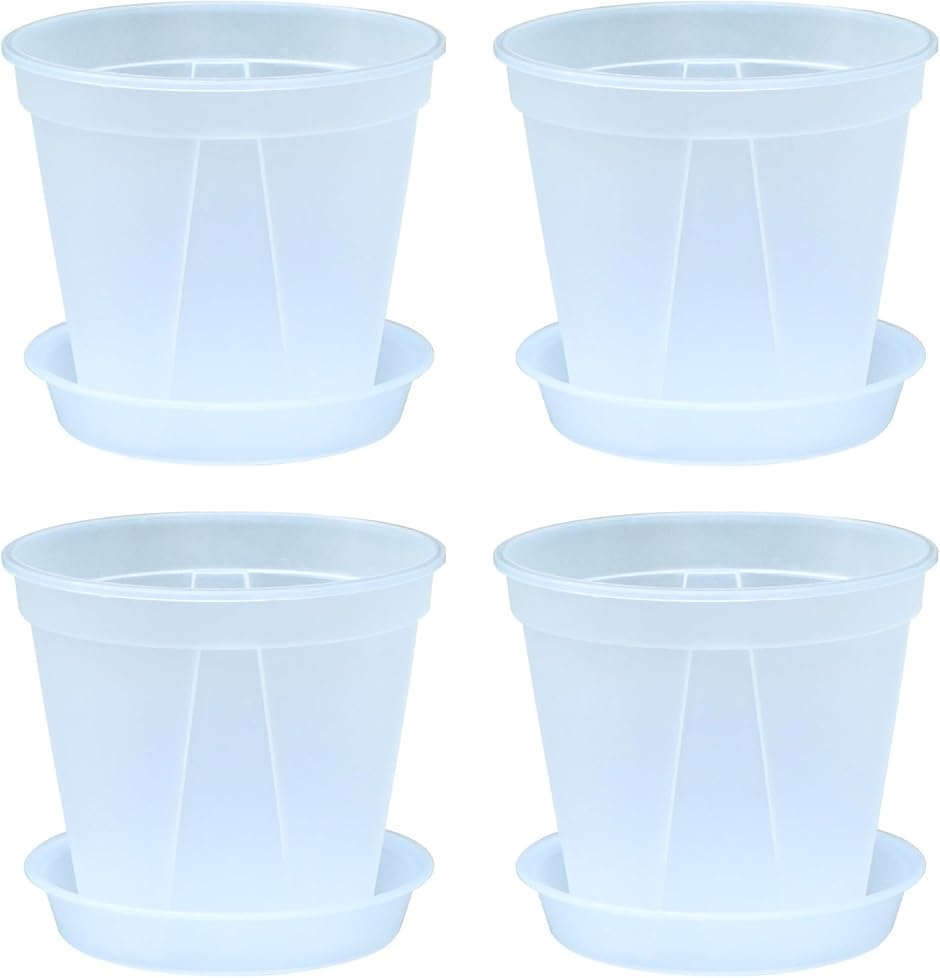 Ǖi{ Aؔ  vX`bN Mt ϗtA I[Lbh|bg Xbg 4Zbg(,  4)