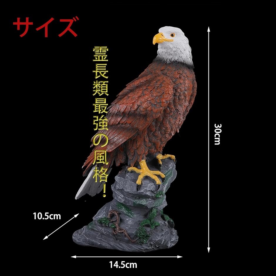 鷲 ワシ オブジェ 防鳥 害鳥 対策 猛禽類 置物 庭の装飾 野鳥 スズメ カラス 鳥よけ( ナチュラルカラー, 大)