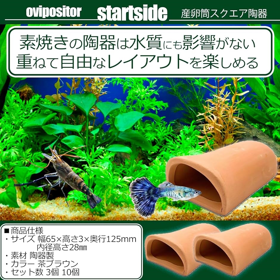 スタートサイド 産卵筒 土管隠れ家シェルター 水槽 産卵床 魚隠れ家 オブジェ メダカ 小魚( 茶ブラウン 3個,  長さ12.5cm)｜horikku｜02