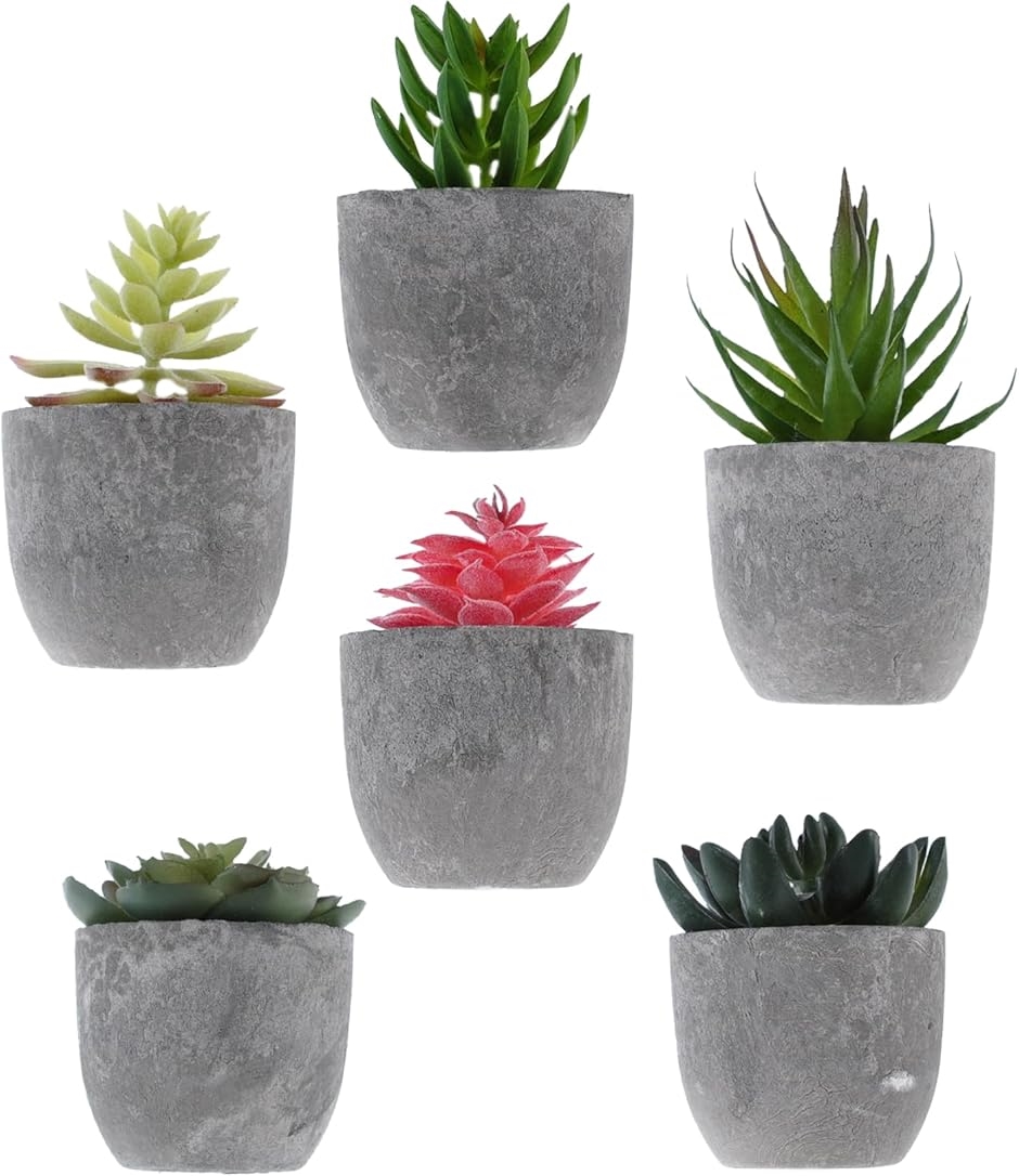 【フェイクグリーン】【インテリアグリーン】【観葉植物】【多肉植物フェイク】 楽天市場】観葉植物 フェイク多肉植物フェイクグリーン観葉植物