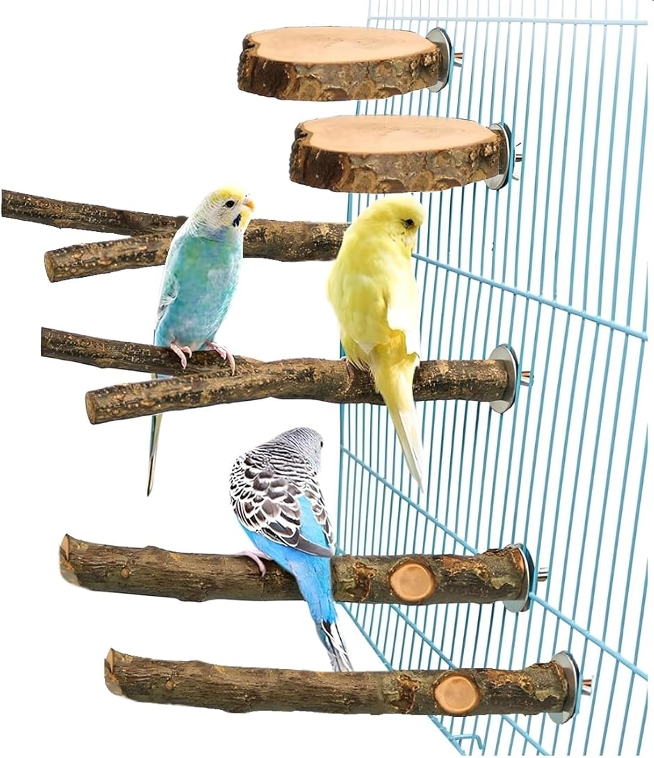 バード用アスレチックスタンド　パーチジム　小鳥 オカメインコ セキセイインコ 文鳥 遊び場 トレーニング 止まり木 吊り橋 タワー 鳥の止まり木 止まり木 鳥 インコ 鳥用パーチ 止まり木スタンド とまり