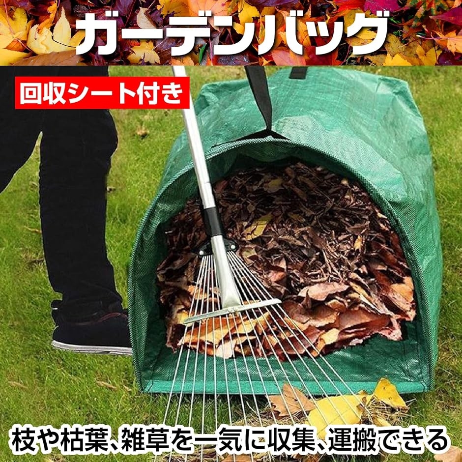 裏庭めだかさん専用ENRICH 月ペリ 専用袋付き Amazon.co.jp: ジェックス GEX メダカ元気 パウダーフード 稚魚