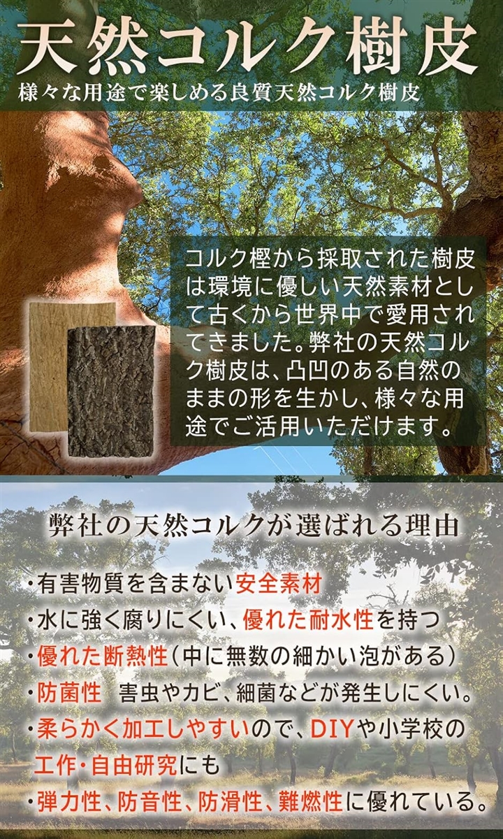 コルク樹皮 大きい 着生 ビカクシダ 蘭 エアプランツ 爬虫類 観葉植物