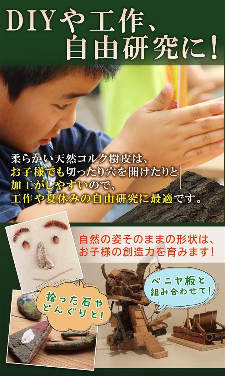 コルク樹皮 大きい 着生 ビカクシダ 蘭 エアプランツ 爬虫類 観葉植物