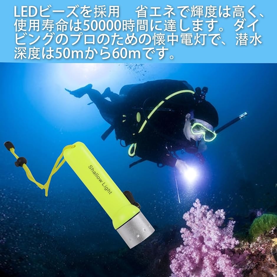 ダイビングライト 水中ライト LEDライト 水中懐中電灯 潜水 1100LM XM