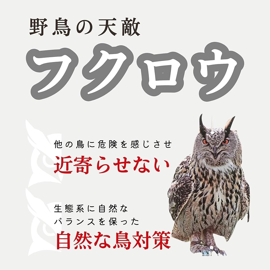 鳥避け 鳩よけ カラスよけ 鳥よけグッズ 烏除け 鳩よけグッズ 防鳥 2個セット( 30x17.5x0.3)｜horikku｜05