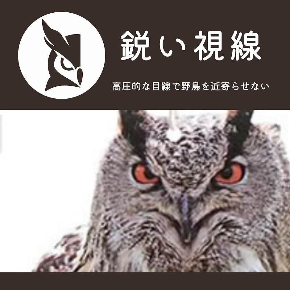 鳥避け 鳩よけ カラスよけ 鳥よけグッズ 烏除け 鳩よけグッズ 防鳥 2個セット( 30x17.5x0.3)｜horikku｜08