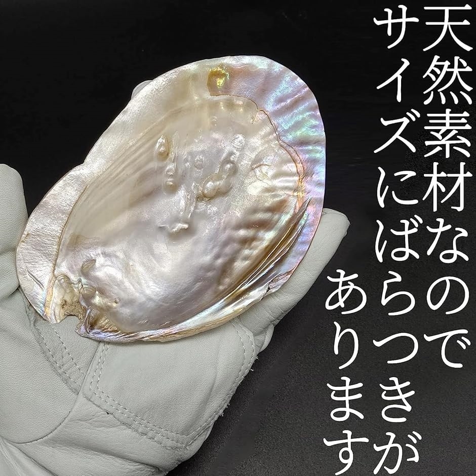 パールシェル 浄化皿 さざれ石 セット 細石 浄化用 入れ物 貝殻( ホワイト)｜horikku｜05