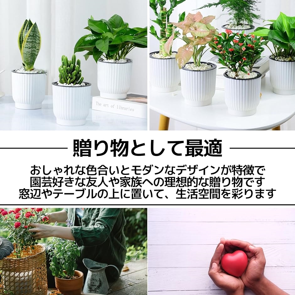 給水プランター 植木鉢 自己給水 プラスチック 給水ひも付 観葉植物 サボテン 12cm 6点セット( ホワイト, Medium)