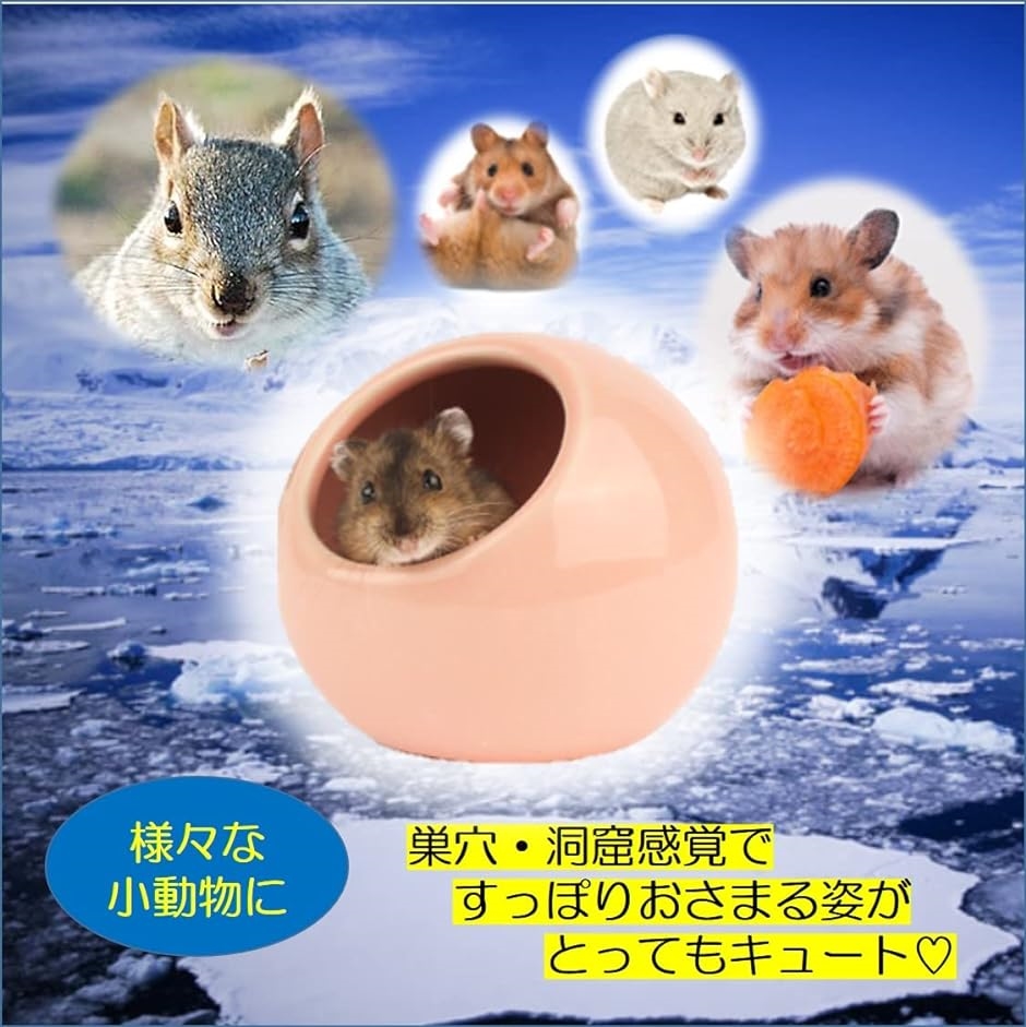 ハムスター 陶器ハウス 隠れ家 かわいいハウス おへや おうち ベッド 寝床 日陰 日よけ( 01　ピンク)