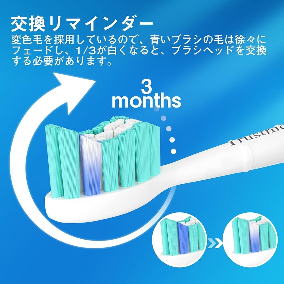 2023進化モデル 電動歯ブラシ 替えブラシ フィリップスソニッケアー用替えブラシ philips sonicare 8本( グリーン)｜horikku｜06