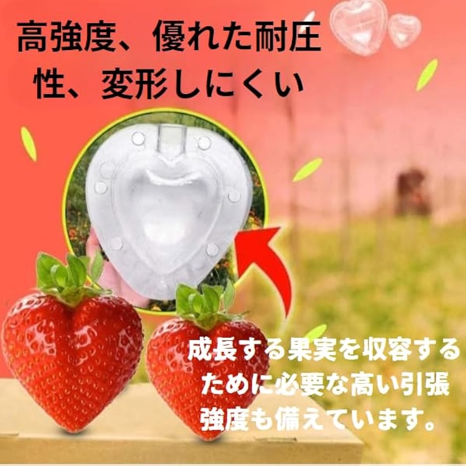 とちおとめ 苗のおすすめ人気商品一覧 通販 - Yahoo!ショッピング