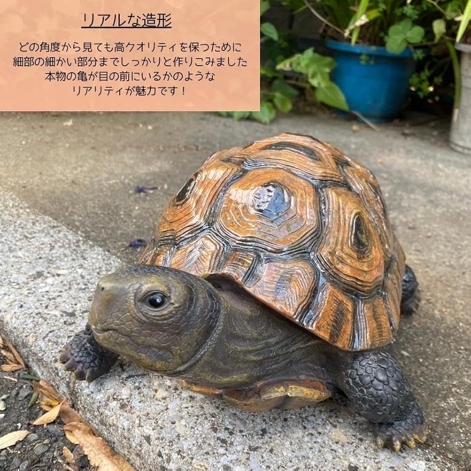 亀 カメ タートル 置物 庭 ガーデニング ガーデン オブジェ インテリア