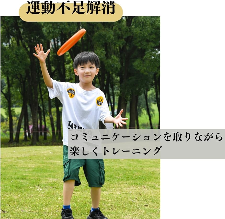 VAN flying discフリスビー送料込みディスプレイ品の為used ワムオー（WHAM-O） フリスビーファストバック 53308 玩具