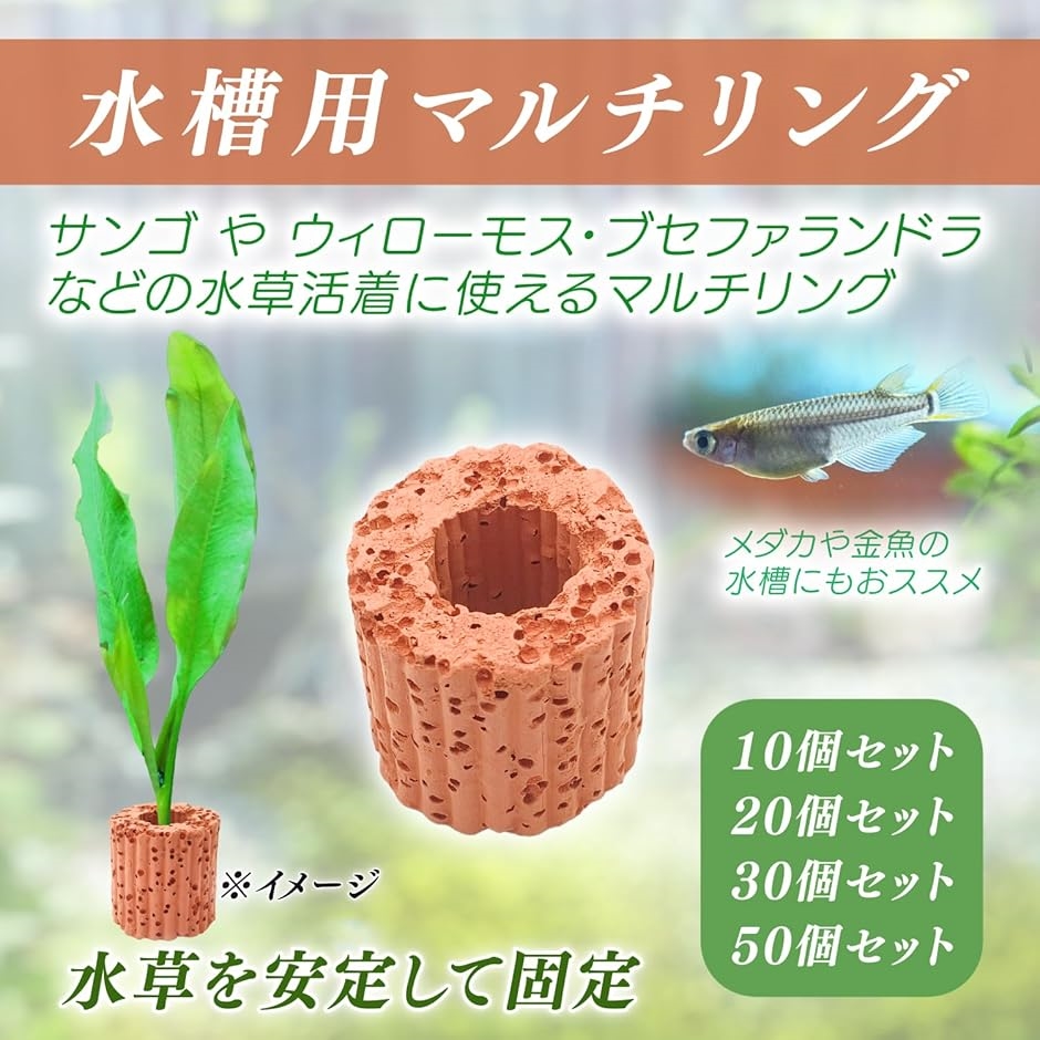 水草固定リング マルチリング 水槽 栽培 水生植物 アクアリウム 20個