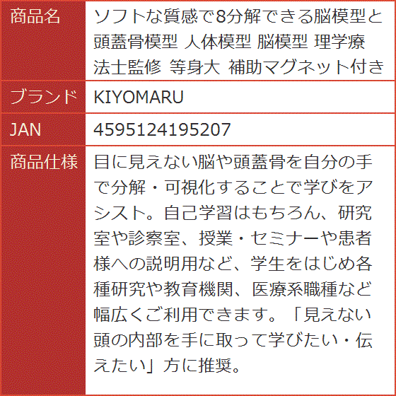 頭蓋骨 模型 分解の商品一覧 通販 - Yahoo!ショッピング