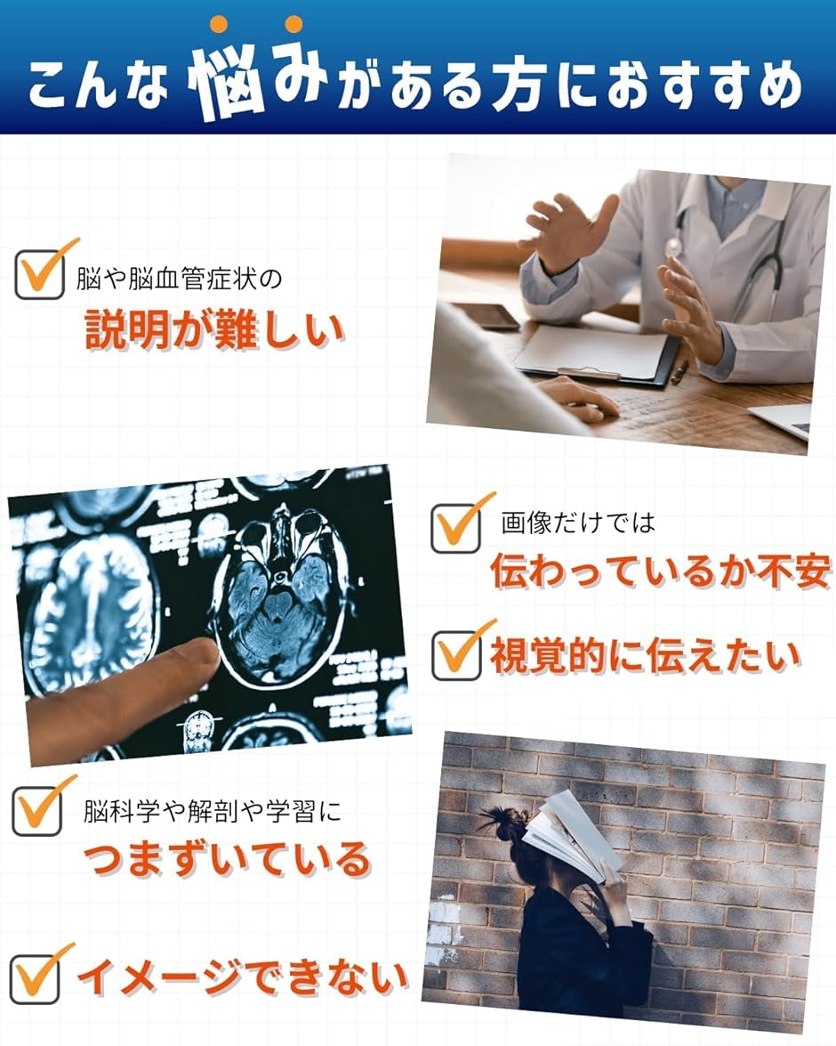 頭蓋骨模型 マグネットの商品一覧 通販 - Yahoo!ショッピング