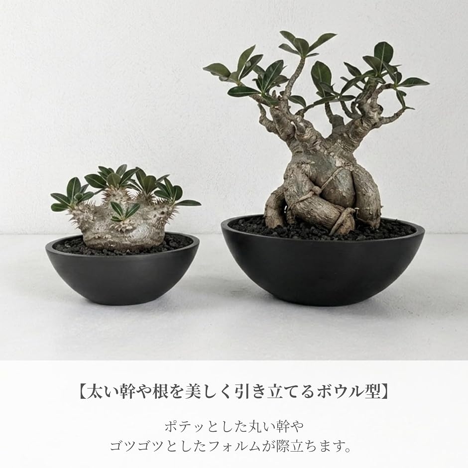 植木鉢 プラスチック 浅鉢 平鉢 軽量 ボウルプランター 排水穴 底網
