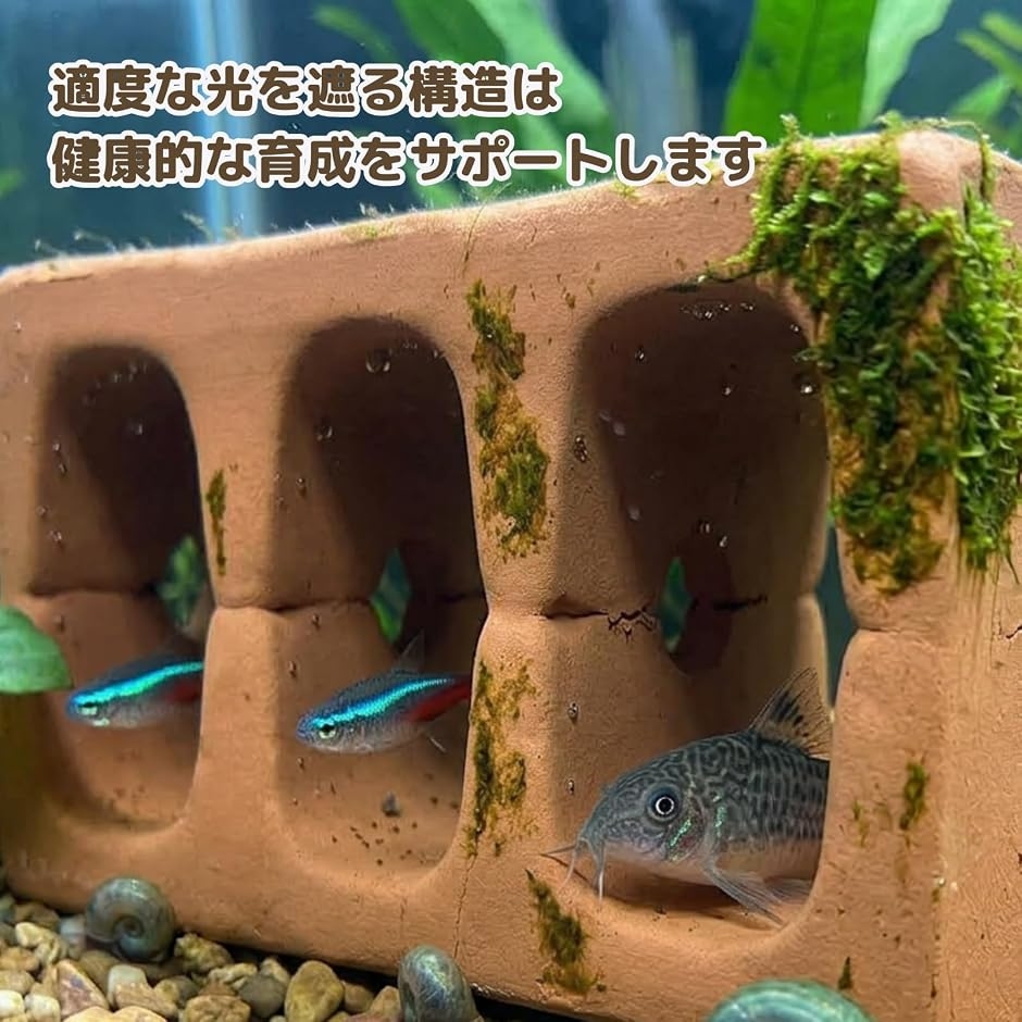 水槽 シェルター 隠れ家 3穴 レンガ 陶器 産卵 稚魚 プレコ エビ