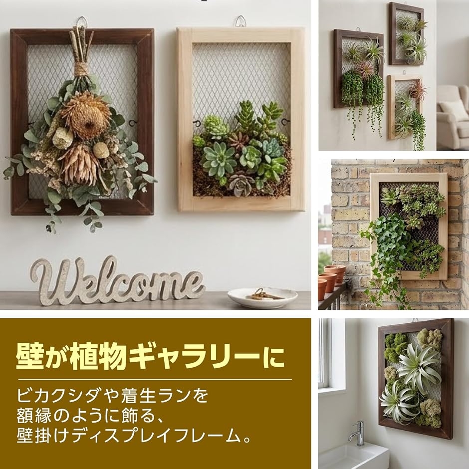 ビカクシダ 板付け フレーム 壁掛け プランター 着生植物 木製